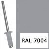 Импорт из сайта,Заклепка 3,2* 8 мм упаковка 100шт RAL7004